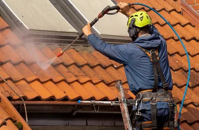 Démoussage et hydrofuge de toiture à Roumengoux
